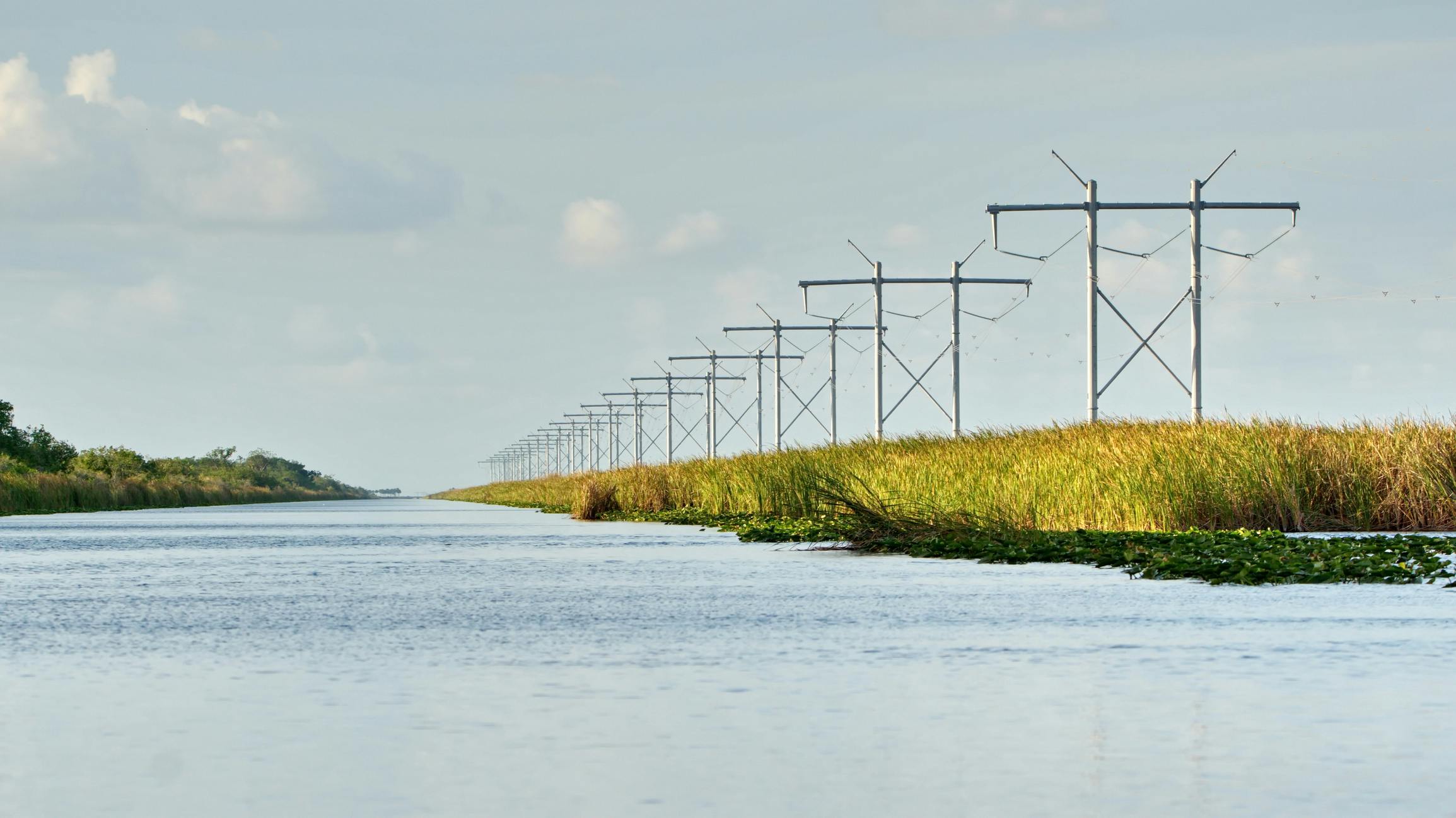 power line in florida