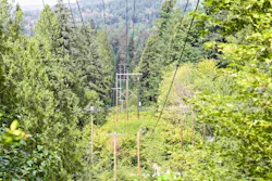 A transmission corridor is shown with vegetation encroachment.