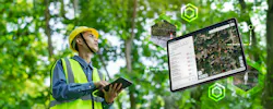 A field technician uses mobile GIS to inspect vegetation risk.