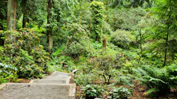 6a55551947e60c3c560e2d54 Dreamstime L 465620727