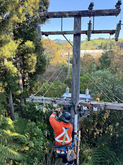 Lineworkers wear high-vis PPE to keep them safe and protected while working on the line in New Zealand.