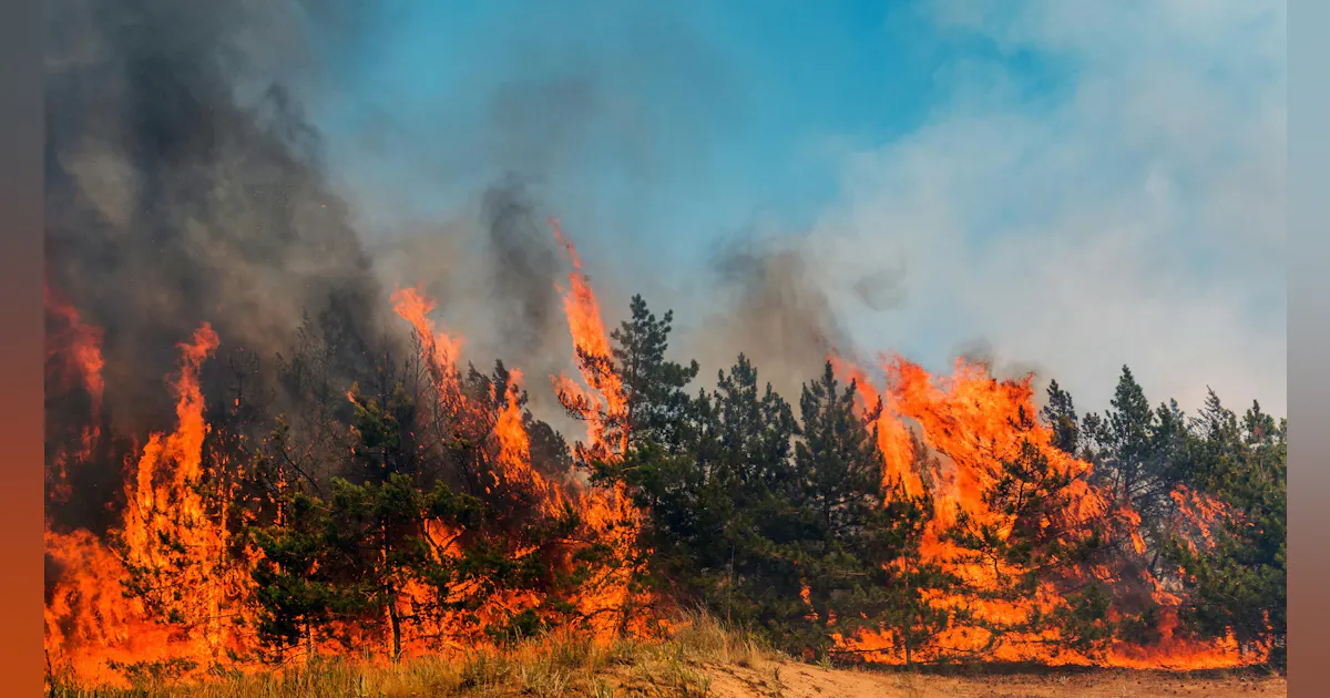 Technosylva Launches Intel Briefs to Enhance Wildfire and Weather Risk ...
