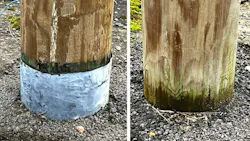 1544637718566541___treatedpolesontestwithandwithou