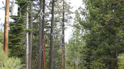 feature_2_image