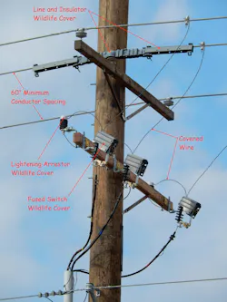 A graphic depicts the types of retrofit equipment put on poles to make them avian-safe.
