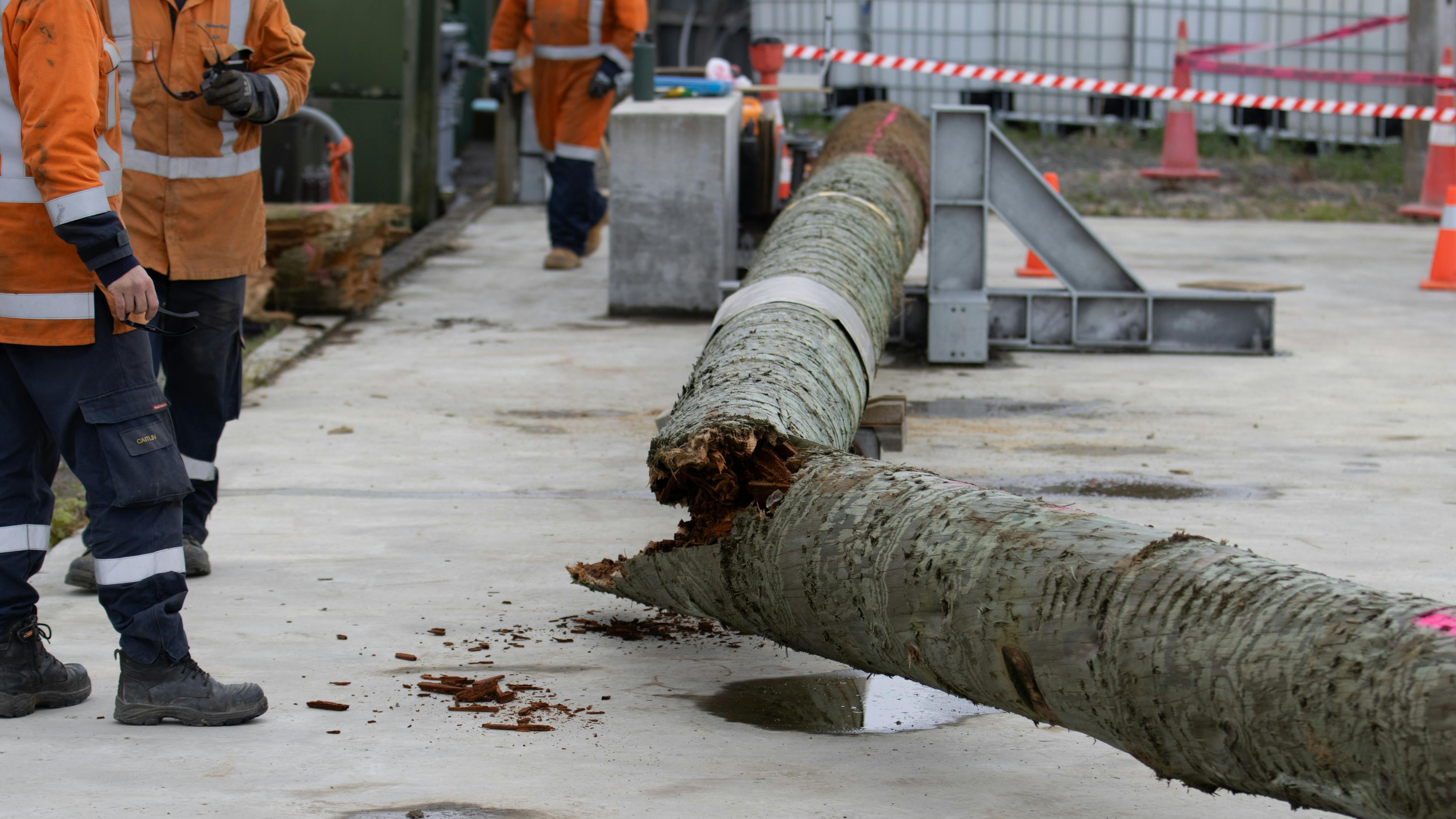 Pole testing rig