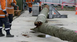 Pole testing rig