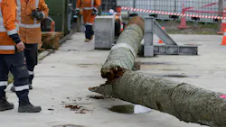 Pole testing rig
