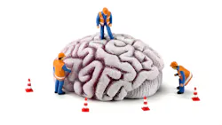 6a998906409868fbd413cbd0 Dreamstime Xl 3016268
