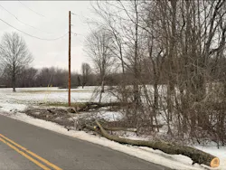 Winter Fern caused damage to tree limbs in the ROWs in CEMC's service territory.