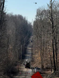 This rural dirt road shows power poles and a tree canopy.