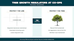 This split panel shows TGR serving the dual goals of line protection and tree preservation.