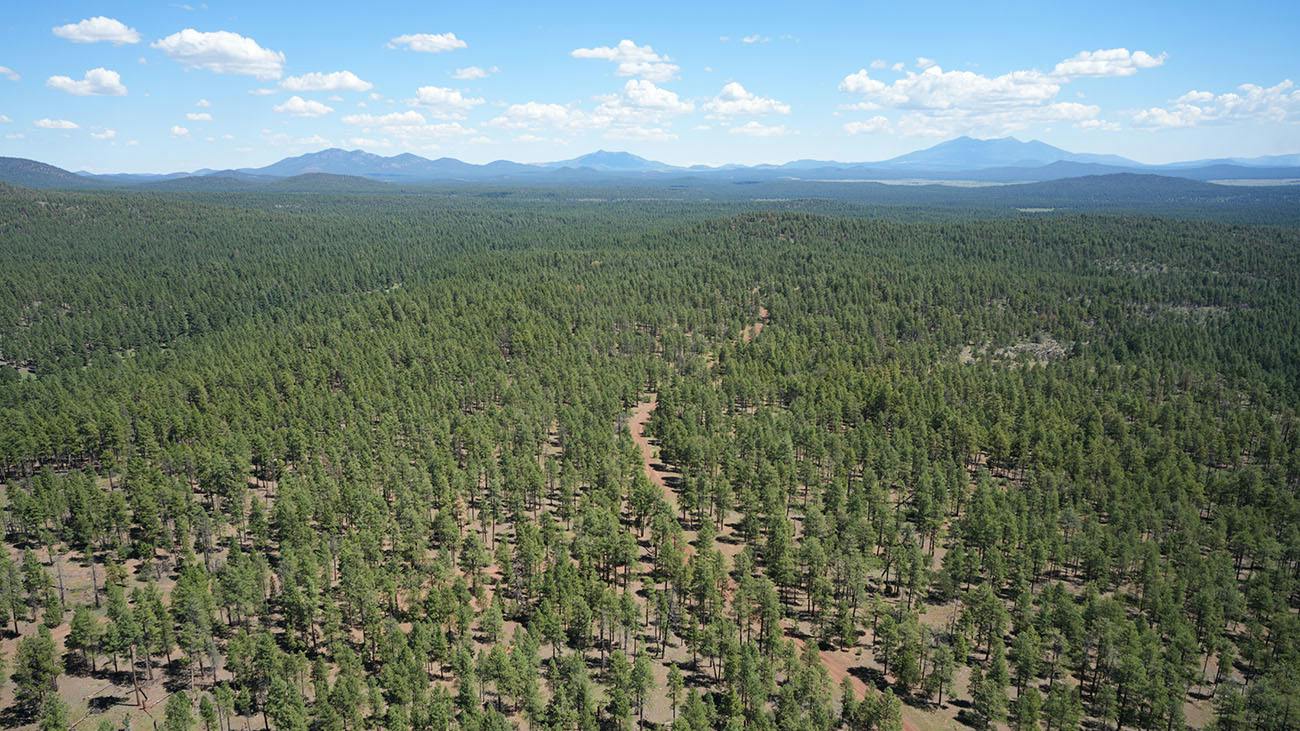 6aac01ca81067d5b5d59aea3 Snowflakeaerialprovidedbyusforestservice