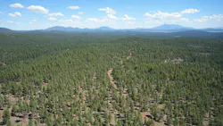 6aac01ca81067d5b5d59aea3 Snowflakeaerialprovidedbyusforestservice