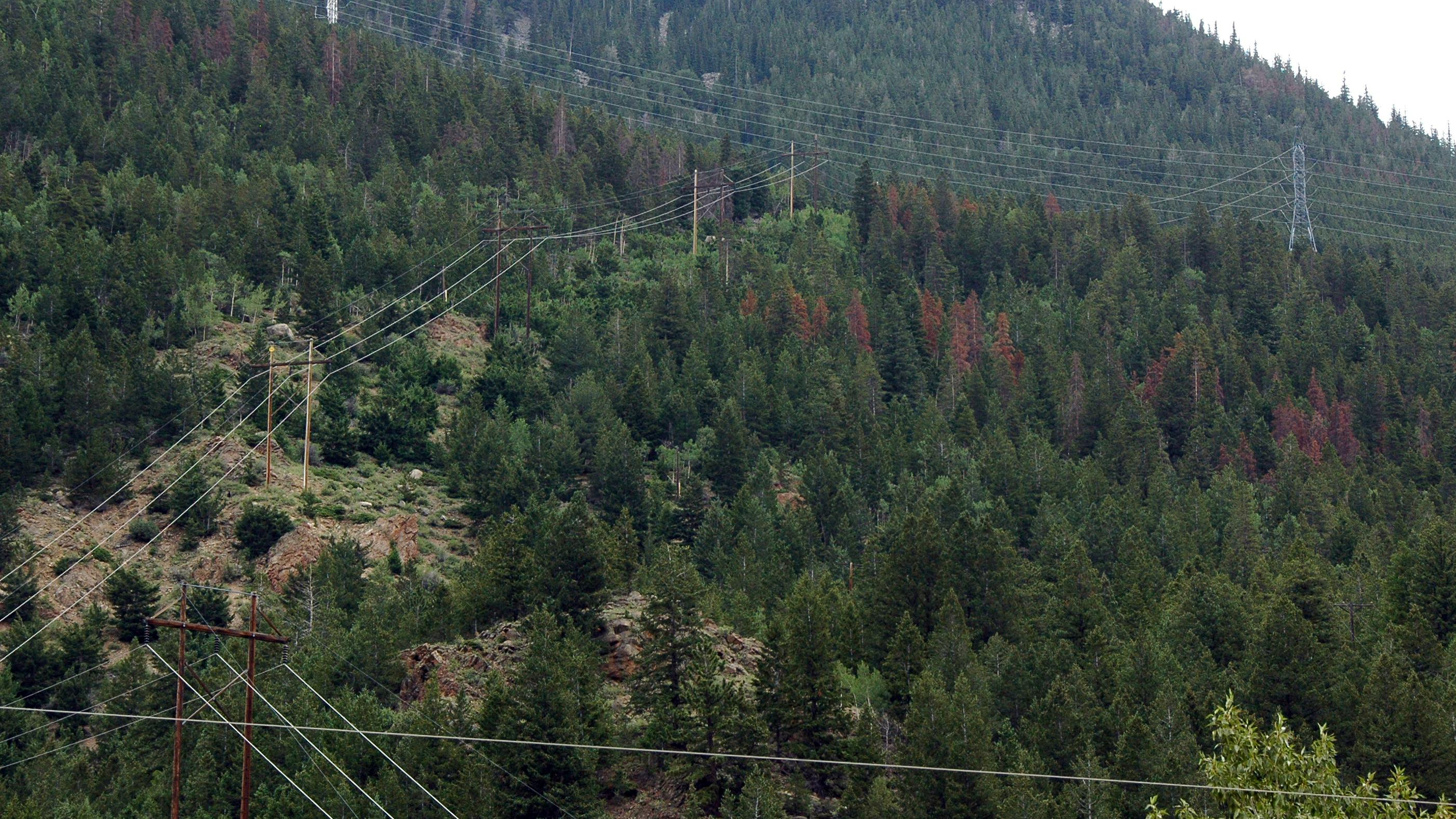 Transmission corridors.