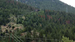 Transmission corridors.