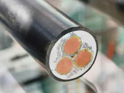 Power electric cable cross-section reveals intricate design of conductive materials and insulation layers in high-voltage applications.