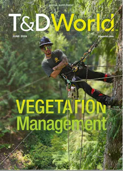 Submit an Abstract to the 2027 Vegetation Management Supplement