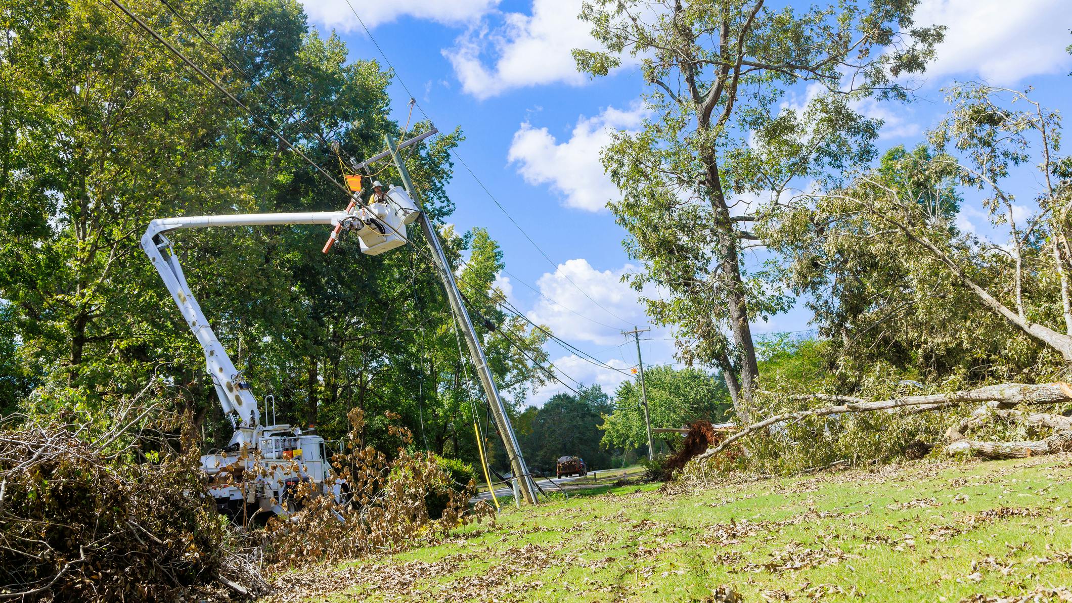 lineworker in bucket truck among downed trees
