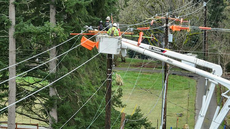 A tree wire project on Vashon Island, an island located in King County, Washington. | Credit: Puget Sound Energy